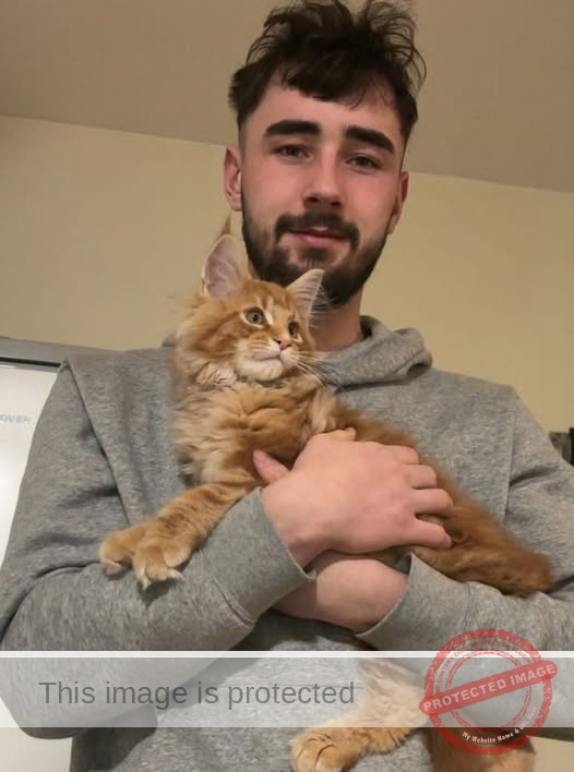 David O’Callaghan: Beloved London Resident Leaves a Legacy of Joy and Kindness