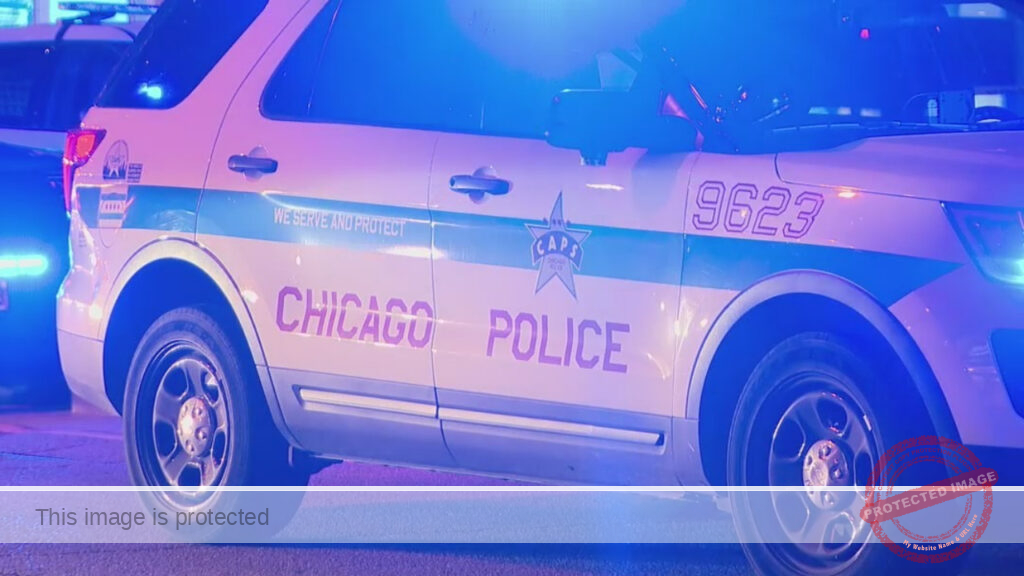Woman shot through window in Chicago home, police say