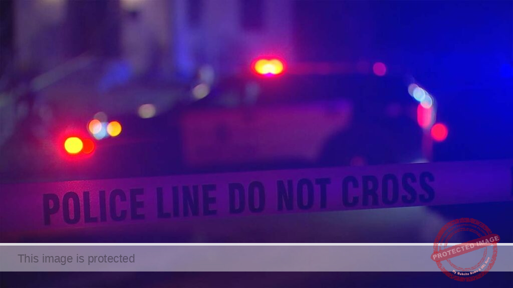 Chicago shooting: Man found shot to death in overturned car after crash: CPD