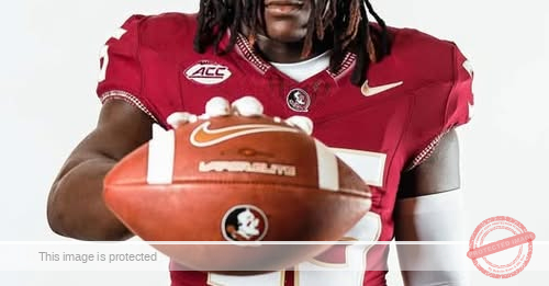 Florida State Freshman Linebacker Ethan Pritchard Injured in Shooting Incident in Havana, Florida