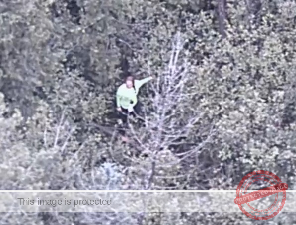 State police rescue California woman lost in woods filming reality TV segment