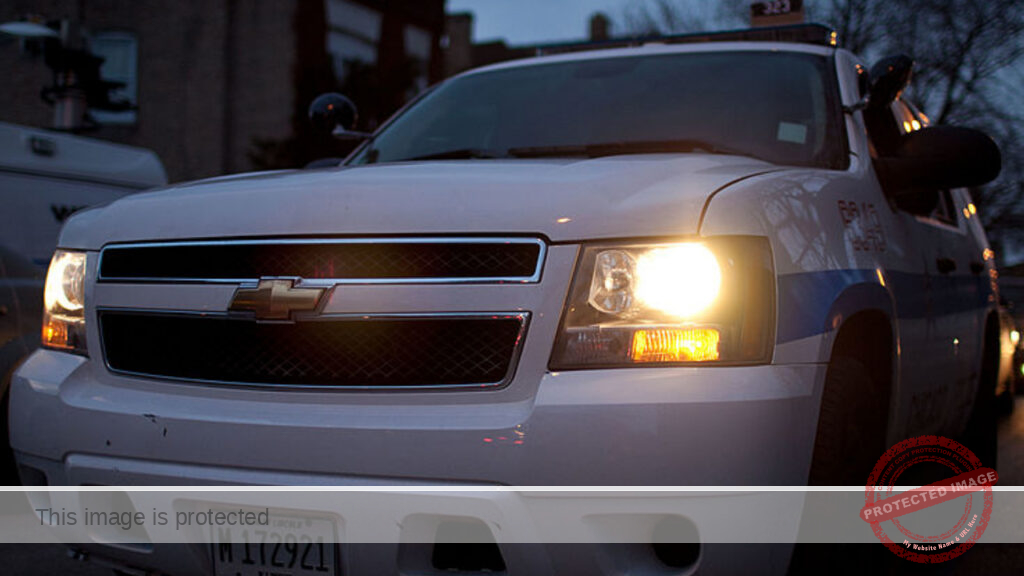 Teen found shot in head on Far South Side, police say