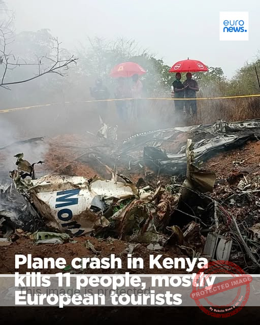 11 Killed in Tragic Plane Crash in Kenya’s Coastal Region