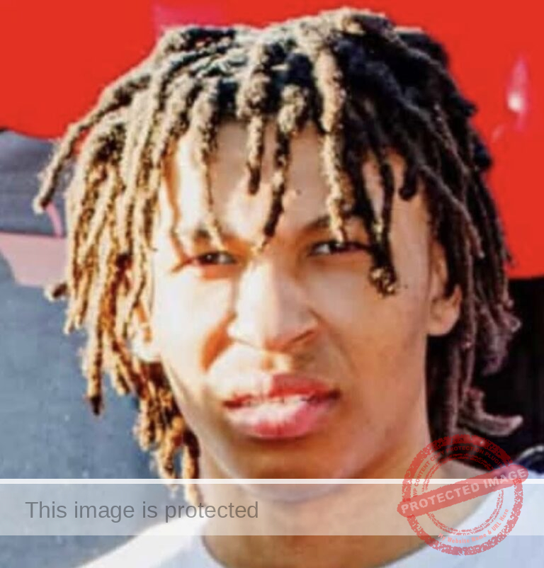 17-Year-Old Ross Anthony Whitt Fatally Shot After Homecoming Party in Lansing