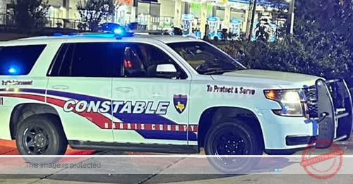 Gunshots in Spring: Woman Found Dead, Suspect in Custody in Hannover Forest Incident