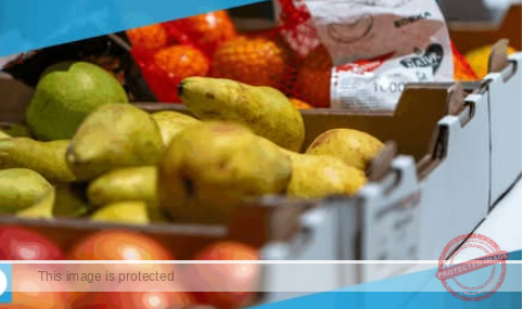 Community Efforts Unite to Fight Food Insecurity Amid Government Shutdown