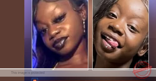 Teenager Shian Robertson Missing for Over a Year – Authorities Seek Help Locating Her in Los Angeles Area