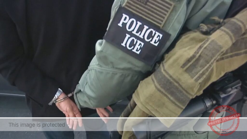 Two Chicago-area undocumented immigrants accused of ramming ICE vehicles during ‘Operation Midway Blitz’