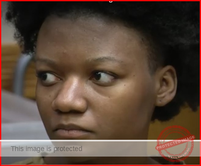 Daughter of McDonald’s manager slain in Eastpointe tried to enter courtroom with knives