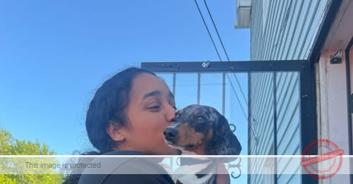 Gabriella Chantell Morgan, 29, Dies in Fatal Car Accident in Richfield, Ohio