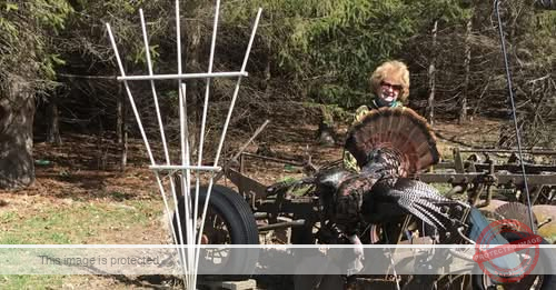 Janice Symiczek Death and Obituary: Janice Symiczek, 82, Killed in Holmen, Wisconsin Three-Vehicle Crash on US Highway 53