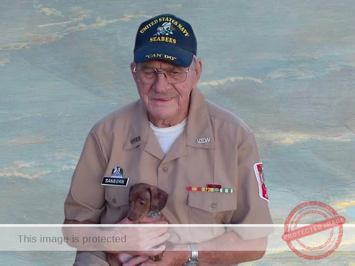 Russellville Man Fatally Struck in Hit‑and‑Run: “We Need Answers for 82‑Year‑Old George Sanborn”