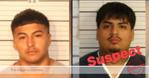 Shooting at Wolfchase Galleria Ends in Arrest of Young Shopper