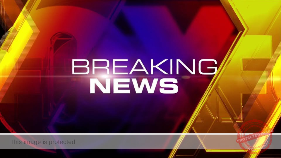 Madelyn Wurster, 25, of Berne, Dies in Icy Overnight Crash East of Fort Wayne