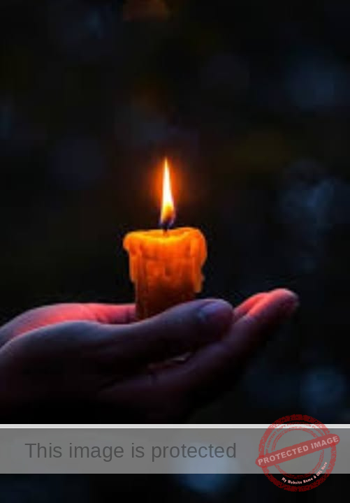 “Remembering Evan Michael Mills: A Young Life Lost in a Late-Night Crash Near Castalia”