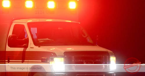 Tullahoma, Tenn. — Grandfather and 3-Month-Old Granddaughter Dead After Pit-Bull Attack in Coffee County