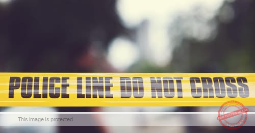 Remains found in Ridley Creek State Park belonged to a deer, not a human, state police say