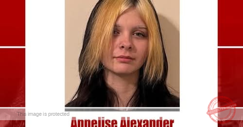 14-Year-Old Annelise Alexander Missing in Mesa, Arizona