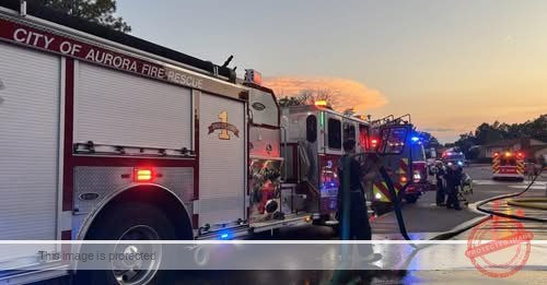 Aurora house fire displaces 5 adults, 4 dogs and a turtle; investigators say cause was accidental