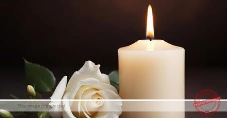 Abigail Lauren Lutz Obituary: Remembering a Beloved Daughter, Sister, and Friend