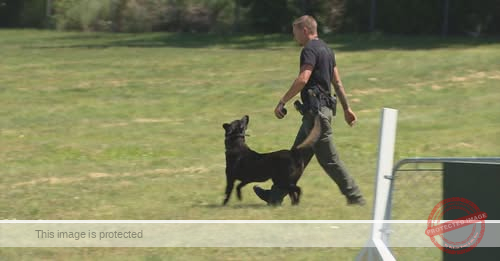 Colorado district attorney criticizes defense used by Jefferson County Sheriff’s deputy in K9 attack of girl