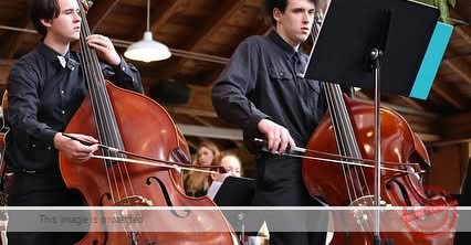 Liam Near Remembered: A Beloved Educator, Musician, and Bremerton Community Member