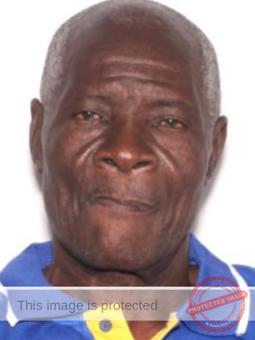 MISSING PERSON ALERT: 68-Year-Old Jean Carius Disappears Near Arnold Palmer Drive, Orlando