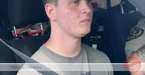 MISSING PERSON ALERT: Help Identify Non-Verbal Young Man Found in Sneedville