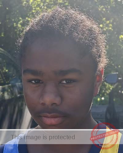Missing Child Alert: Milwaukee Police Search for 13-Year-Old Rayshawn A. Wheaton