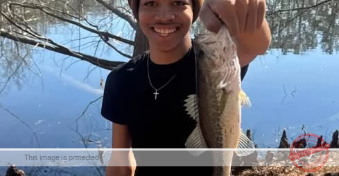 Missing Person Alert: Giovanni Pelletier Disappears During Florida Trip