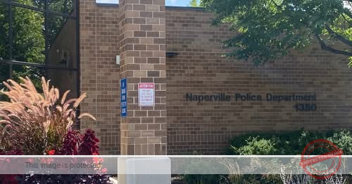 Naperville sees drop in property and personal crimes in mid-year report