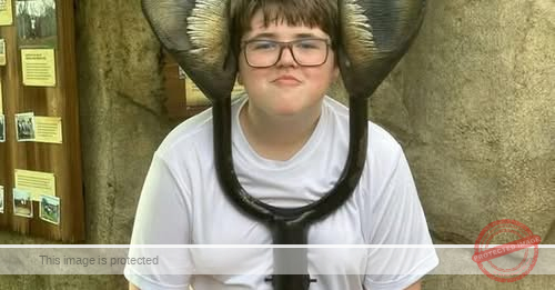 Remembering Noah: A Bright Light Lost Too Soon at Age 12