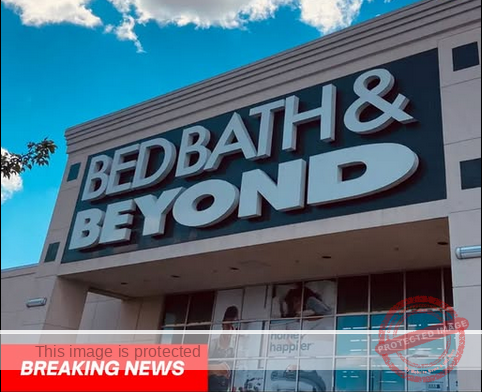 Bed Bath & Beyond Makes a Comeback as Bed Bath & Beyond Home with New Stores and a Fresh Start