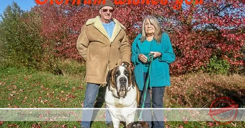 Sheila Munro: A Life Devoted to Dog Shows and Breed Stewardship