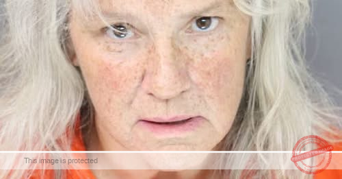 Susan Rhodes Arrested After Two-Month Disappearance and Crash Investigation