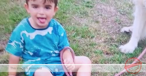 Urgent Search Underway for Missing Three-Year-Old Boy at Cayton Bay