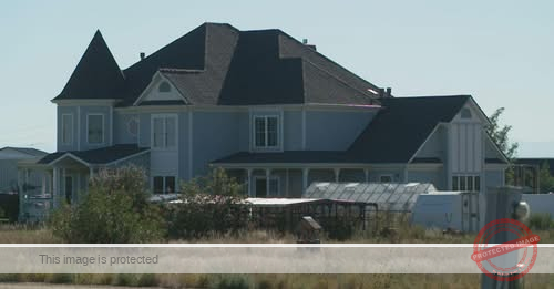 101 animals rescued from Colorado home, including snakes, sugar gliders and hedgehogs