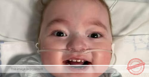 A Life Lost Gives Baby Hudson Hope for His Own: A Heartfelt Transplant Miracle