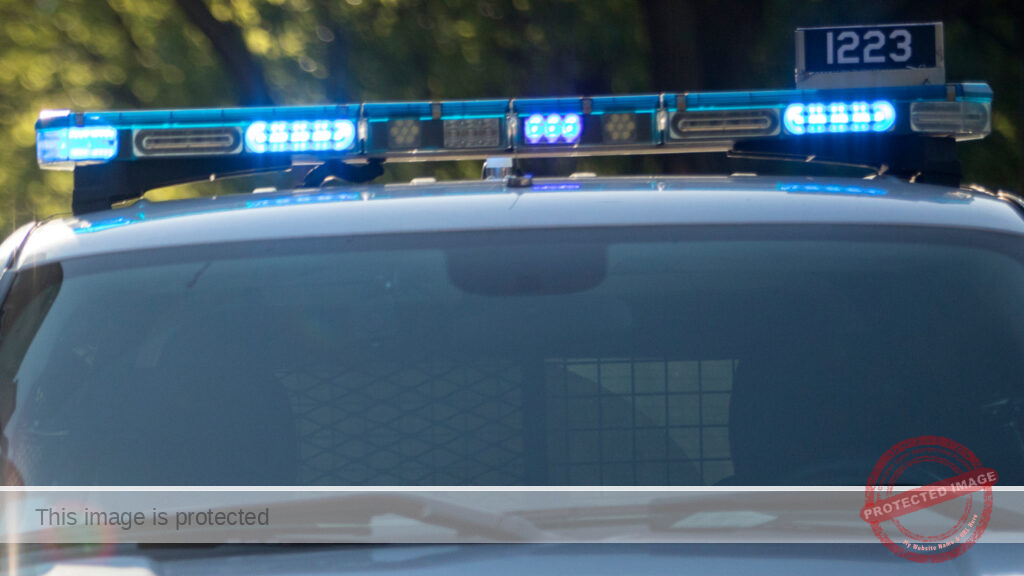 Missing New York girl found in Chicago area with 2 men in US illegally: officials