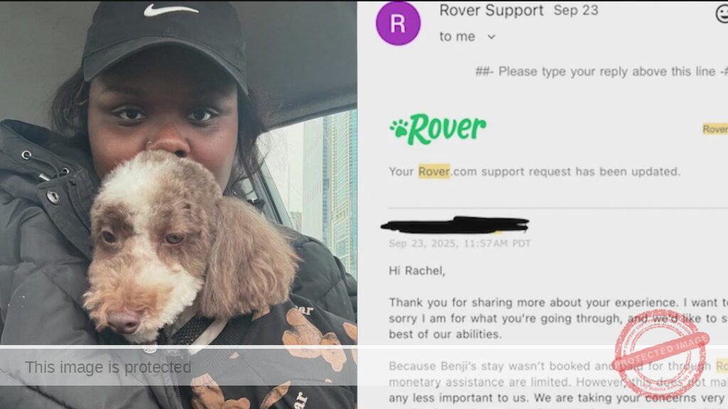 Chicago woman blames Rover sitter for missing dog — company disputes any ties