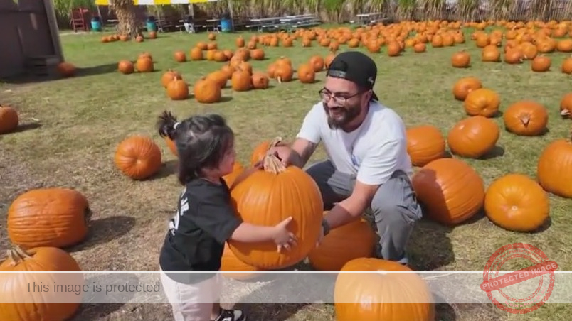 Chicagoland guide to fall things to do: Pumpkin patches, festivals, Halloween events