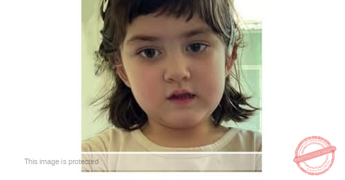 Help Bring Hannah Amina Mojadidi Home: 4-Year-Old Missing From Annandale, Virginia