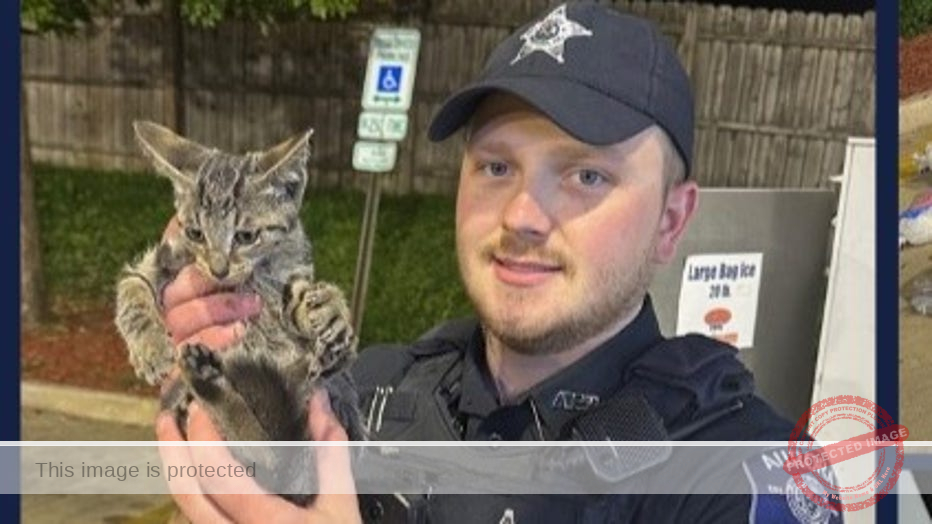 Kitten rescued stuck in Aurora ice machine, police say