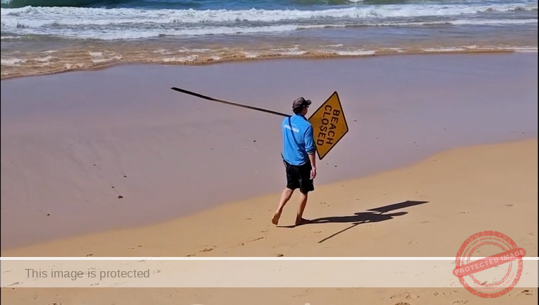 Man dies in shark attack at Sydney beach