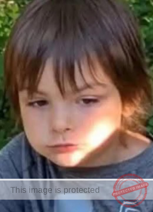 Search for 5-Year-Old Darius MacDougall Enters Third Day Near Crowsnest Pass, Alberta