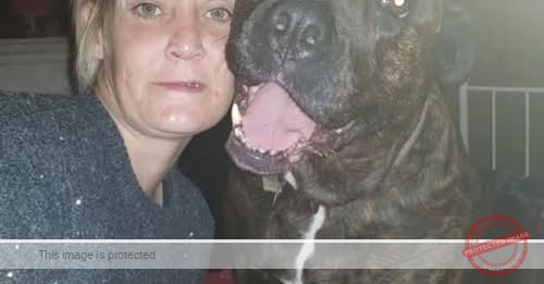 Sunderland Woman Donna Doran Reported Missing After Last Being Seen at Hospital