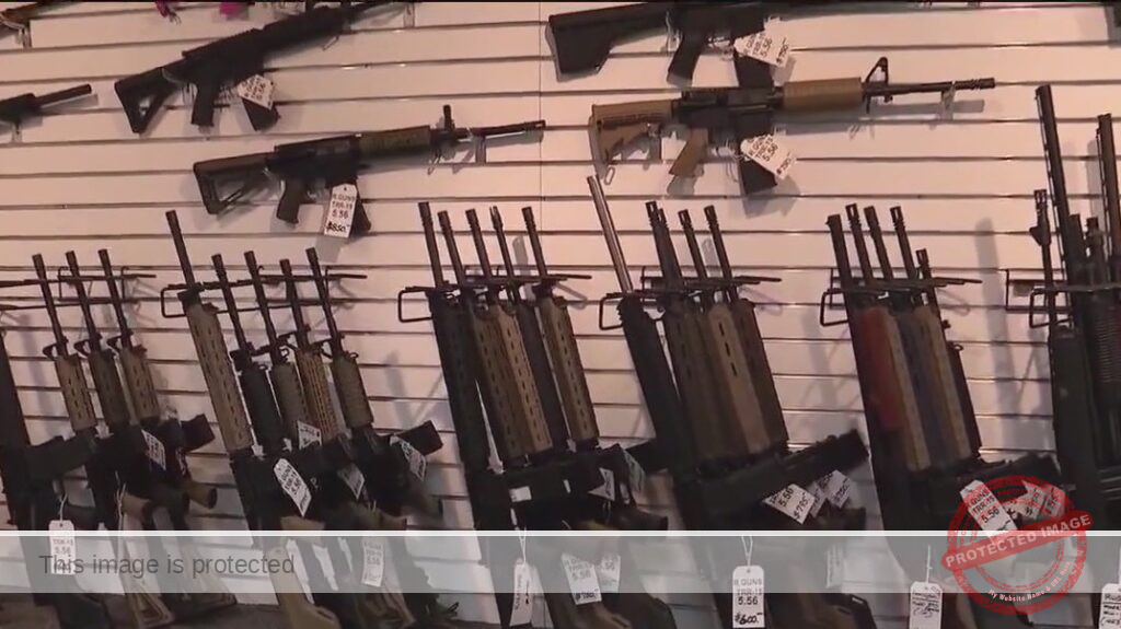 Trump DOJ official argues against Illinois assault weapons ban