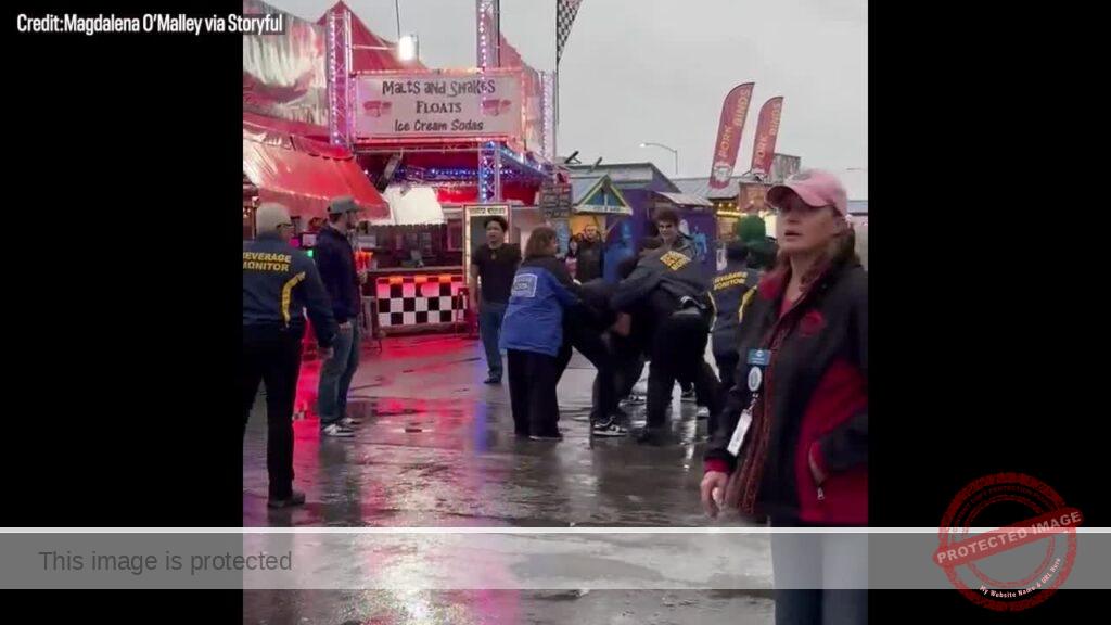 Watch: ‘Heroic’ man wrestles gun from brawling fairgoers