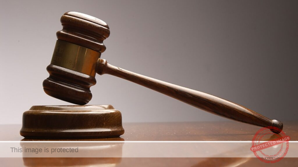 ‘Why are you not scared?’: Chicago carjacker who shot driver gets 22 years