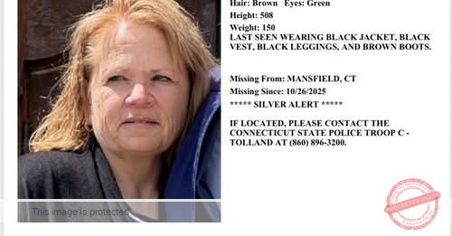 Authorities Search for Missing Mansfield Woman, Anne Marie Pappalardo